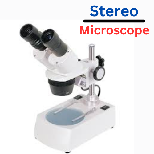 Stereo Microscope